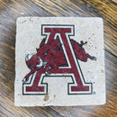 University of Arkansas Razorback through the A Coaster