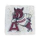 University of Arkansas Razorback on A Coaster