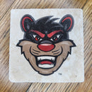 Cincinatti Bearcats Mascot