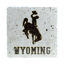 Wyoming Cowboys Logo ov Wyoming text